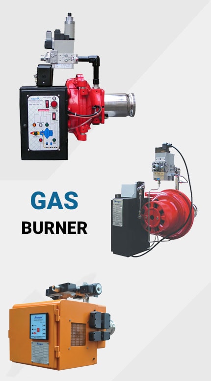 Narayan Gas Burner