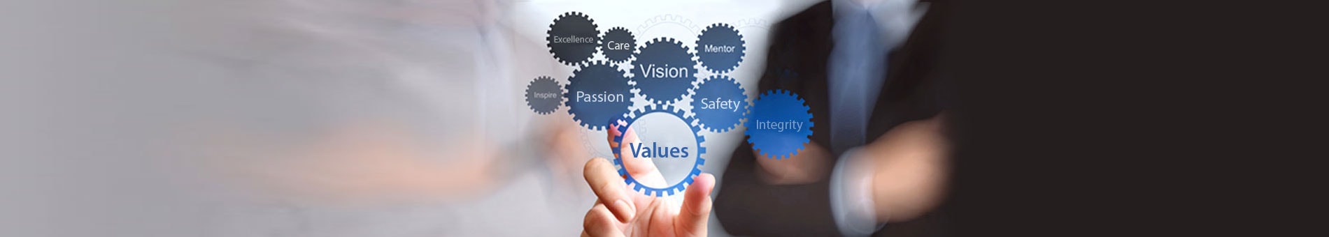 Narayan Value Banner